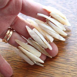 "Shark Bite" Stretch Bracelet XS-S Mother of Pearl Abalone Shell Natural White